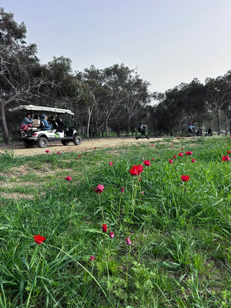 אטרקציות בדרום: איך בוחרים פעילות שיש בה גם חוויה וגם ערך? אטרקציות בדרום: איך בוחרים פעילות שיש בה גם חוויה וגם ערך?